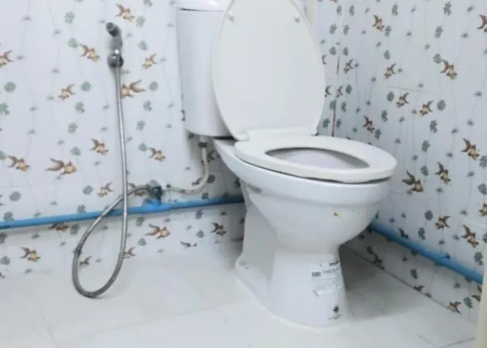 24 Backpackers Albergue
