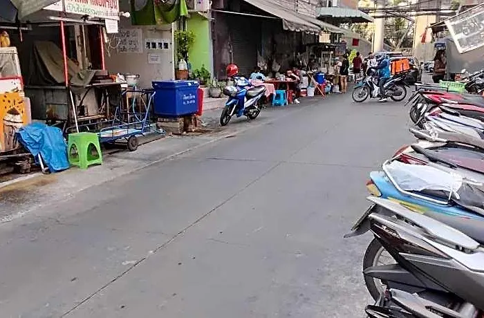 24 Backpackers *
